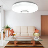 Ceiling light fixture in a living room setting with a couch, coffee table, and decorative items.